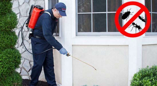 İçmeler Hamam Böceği İlaçlama böcek ilaçlama ve haşere kontrolü — ilaclama-tr.com